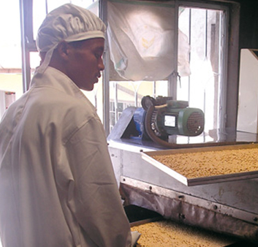 Local_production_2b